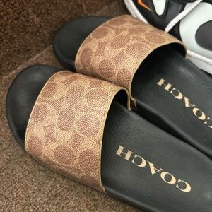 desinger slides